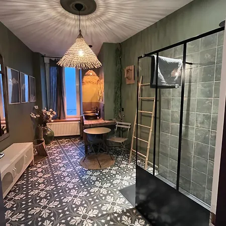 Lägenhet Plein Centre