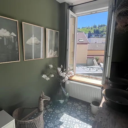 Plein Centre Apartment *
