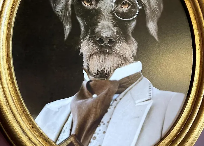 Plein Centre Appartement Gérardmer