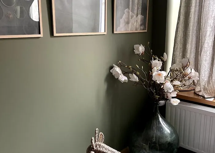 Plein Centre Appartement Gérardmer