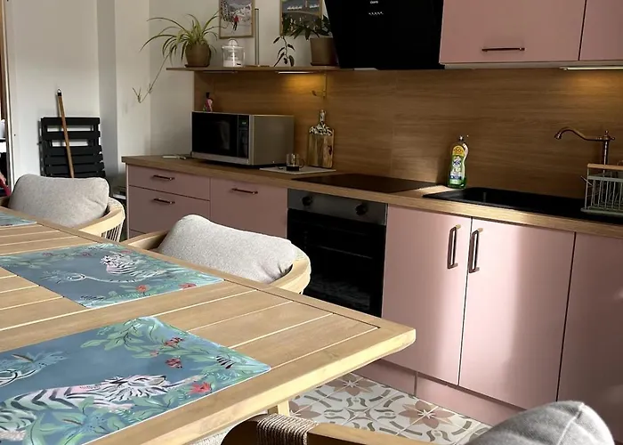 Plein Centre Appartement *